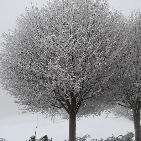 Horsky Hajenka Maków