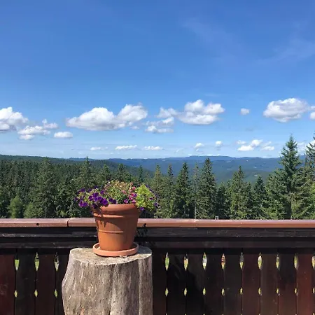 Hotel Horsky Hajenka 3*