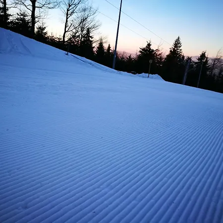 Hotel Horsky Hajenka 3*