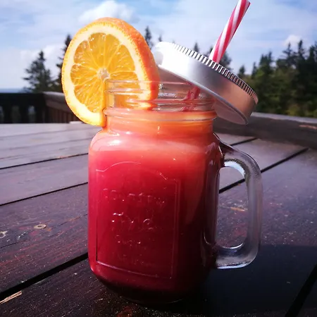 Hotel Horsky Hajenka Maków