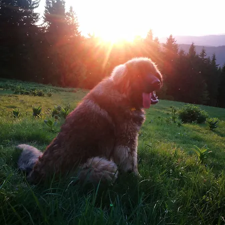 Hotel Horsky Hajenka