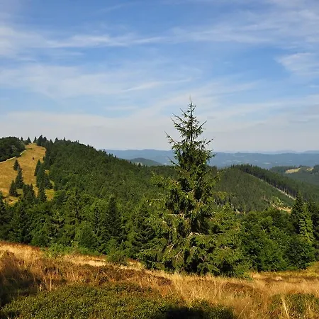 Horsky Hajenka Hotel 3*