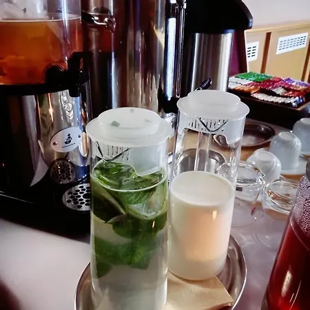 Hotel Horsky Hajenka 3*