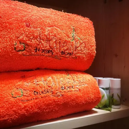 Hotel Horsky Hajenka 3*