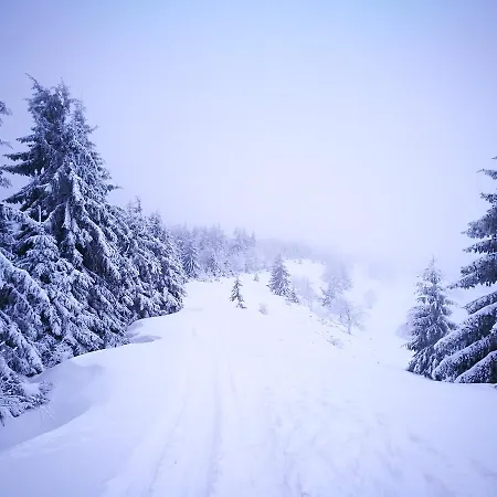 Hotel Horsky Hajenka