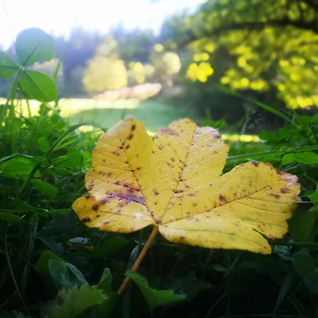 Horsky Hajenka Hotel Maków